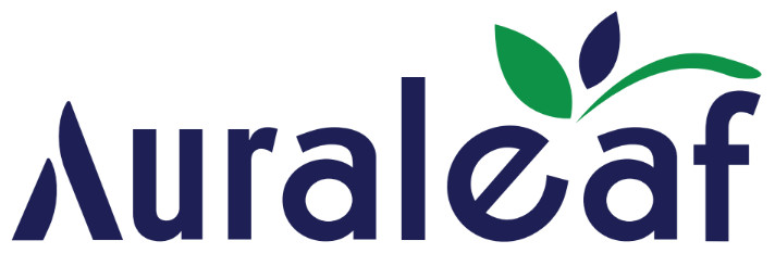 Auraleaf – Tinh Hoa Trà Nhật, Kết Tinh Từ Di Sản